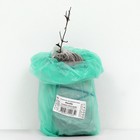 Клематис крупноцветковый «Ниобе », 1 шт., туба - Фото 3