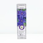 Клематис крупноцветковый «Президент», туба, 1 шт. - Фото 1