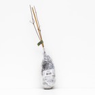 Клематис крупноцветковый "Сансет ", 1 шт, туба, Весна 2026 9581685