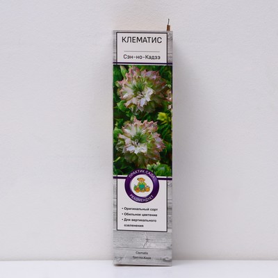 Клематис крупноцветковый "Сэн-но-Кадзэ ", 1 шт, туба, Весна 2025