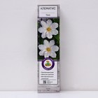 Клематис крупноцветковый «Токи», 1 шт., туба - Фото 1