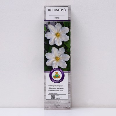 Клематис крупноцветковый «Токи», 1 шт., туба