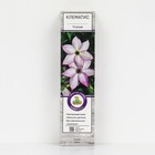 Клематис крупноцветковый "Утопия", 1 шт, туба, Весна 2024 - Фото 1