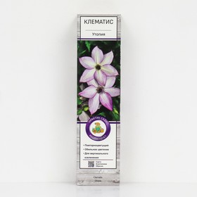 {{photo.Alt || photo.Description || 'Клематис крупноцветковый "Утопия", 1 шт, туба, Весна 2026'}}