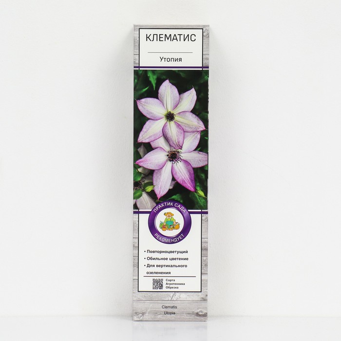 Клематис крупноцветковый "Утопия", 1 шт, туба, Весна 2024 - Фото 1