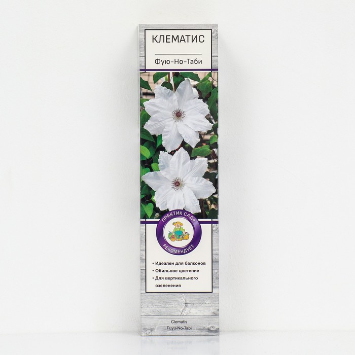 Клематис крупноцветковый "Фую-но-Таби ", 1 шт., туба - Фото 1