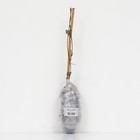 Клематис крупноцветковый "Фую-но-Таби ", 1 шт., туба - Фото 3