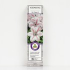 Клематис крупноцветковый "Ян Павел II ", 1 шт, туба, Весна 2025 - Фото 1