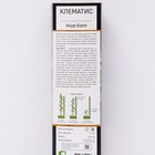 Клематис крупноцветковый Люкс "Азур Болл ", 1 шт, туба, Весна 2026 9581700