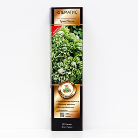 {{photo.Alt || photo.Description || 'Клематис крупноцветковый Люкс "Грин Пешн", 1 шт, туба, Весна 2026'}}