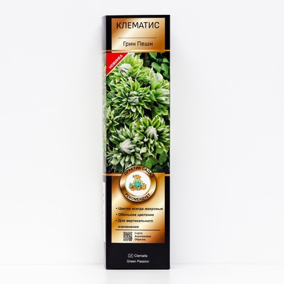 Клематис крупноцветковый Люкс "Грин Пешн", 1 шт, туба, Весна 2024