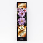 Клематис крупноцветковый Люкс Дансинг Кинг 1 шт., туба, Весна 2026 - Фото 1