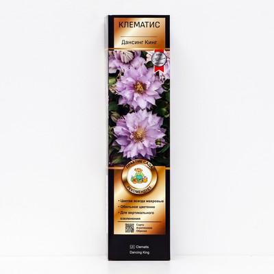Клематис крупноцветковый Люкс Дансинг Кинг 1 шт., туба, Весна 2026
