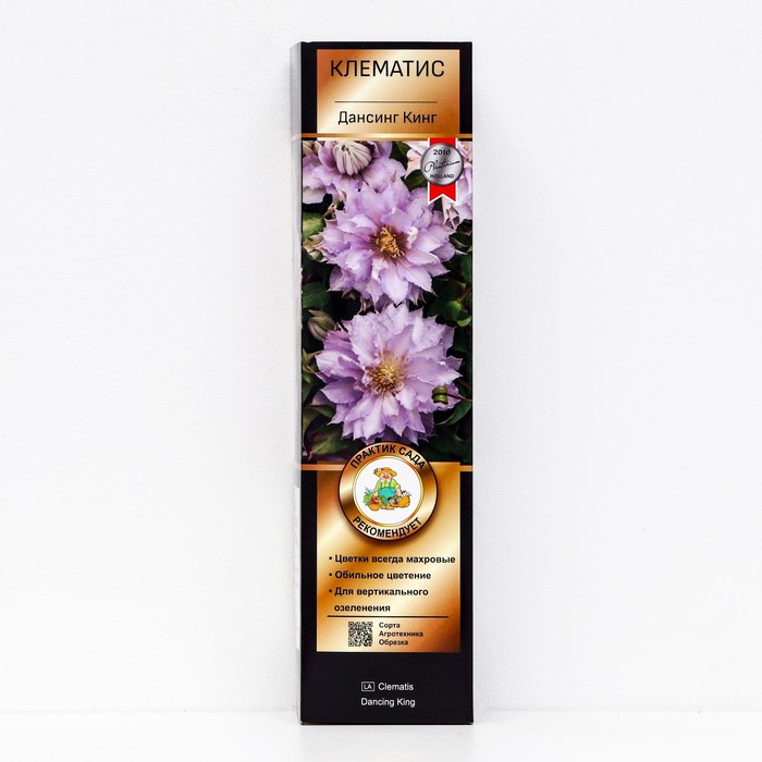 Клематис крупноцветковый Люкс Дансинг Кинг 1 шт., туба, Весна 2026 - Фото 1