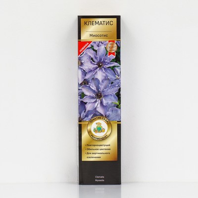 Клематис крупноцветковый Люкс «Миосотис», 1 шт., туба