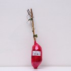 Клематис крупноцветковый Люкс «Тайга », саженец, цветущий, лиана, 1 шт., туба - Фото 3