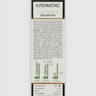 Клематис крупноцветковый Люкс Эксайтинг 1 шт., туба, Весна 2026  (артикул 9581729)  большой выбор товаров оптом и в розницу по низким ценам с доставкой