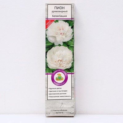 Пион древовидный Белая Башня 1 шт., туба, Весна 2026