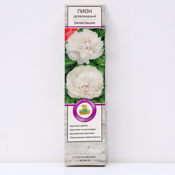 Пион древовидный Белая Башня 1 шт., туба, Весна 2026 - Фото 1