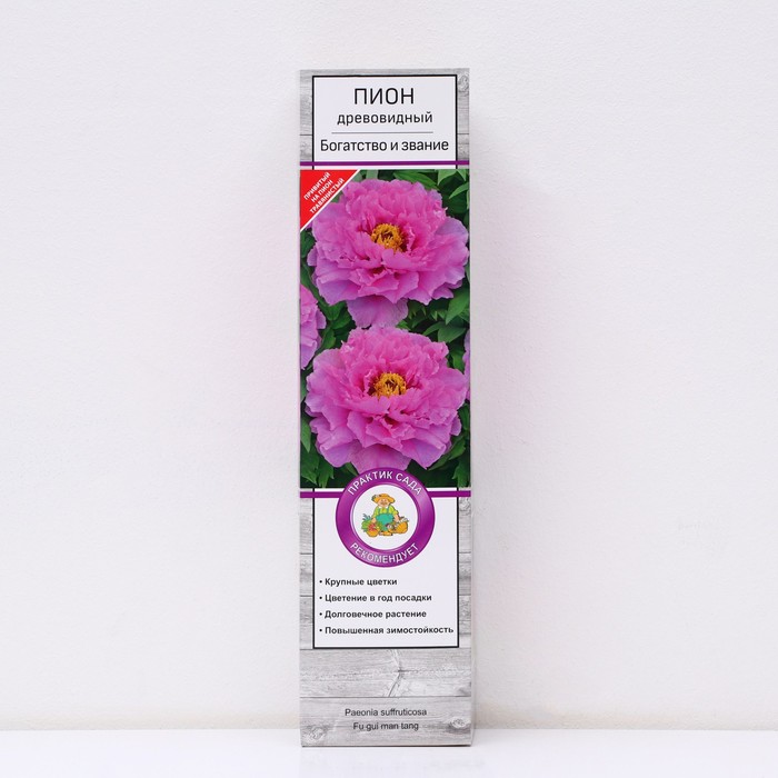 Пион древовидный Богатство и звание 1 шт., туба, Весна 2026 - Фото 1
