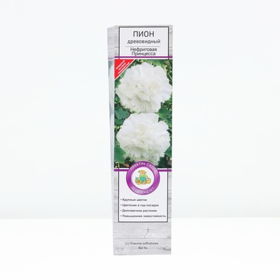 Пион древовидный Нефритовая Принцесса, туба, 1 шт., Весна 2026