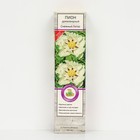 Пион древовидный Снежный лотос 1 шт., туба, Весна 2026 - Фото 1