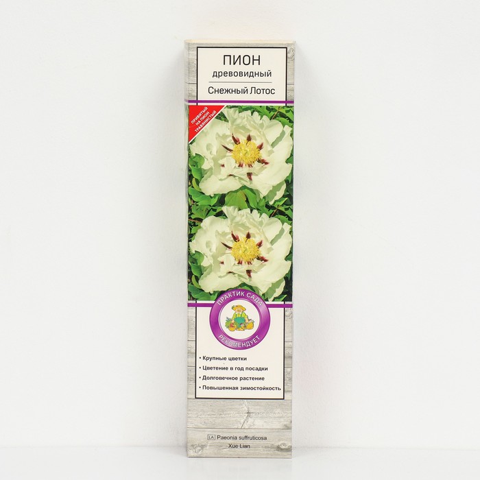 Пион древовидный Снежный лотос 1 шт., туба, Весна 2026 - Фото 1