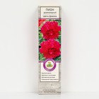 Пион древовидный Цветы Дракона 1 шт., туба, Весна 2026 - Фото 1