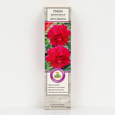 Пион древовидный Цветы Дракона 1 шт., туба, Весна 2026