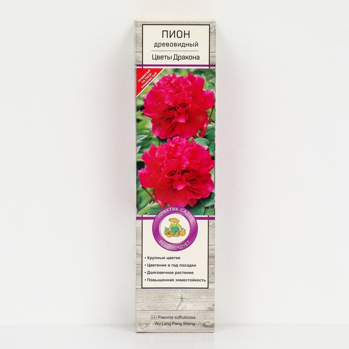 Пион древовидный Цветы Дракона 1 шт., туба, Весна 2026 - Фото 1