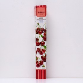 Вишня (дюк) "Ивановна", 1 шт, туба, Весна 2024 9581792