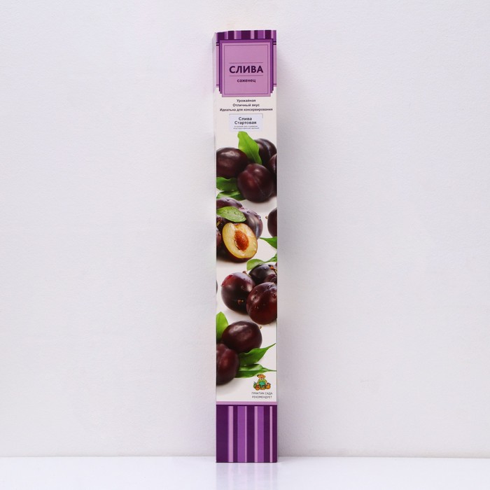 Слива  "Стартовая ", 1 шт, туба, Весна 2024 - Фото 1