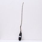 Слива "Стартовая ", 1 шт, туба, Весна 2024 - Фото 3