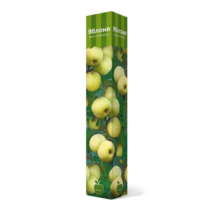 Яблоня Коричное полосатое 1 шт. туба, Весна 2026 - Фото 1