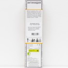 Актинидия аргута "Таежный дар ", 1 шт, туба, Весна 2024  (артикул 9581834)  большой выбор товаров оптом и в розницу по низким ценам с доставкой