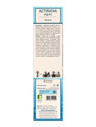 Актинидия аргута (Серия Северный сад) «Женева », саженец,1 шт., туба - фото 41318186