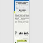 Актинидия аргута Сладкий (мужской опылитель) Северный сад 1 шт., туба Весна 2026 - Фото 2