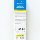 Актинидия коломикта (Северный Сад) Сентябрьская 1 шт., туба Весна 2026 - Фото 2