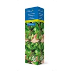 Актинидия коломикта (Северный Сад) Сентябрьская 1 шт., туба Весна 2026  (артикул 9581841)  большой выбор товаров оптом и в розницу по низким ценам с доставкой