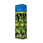 Актинидия коломикта (Серия Северный Сад) "", 1 шт, туба, Весна 2023  (артикул 9581842)  большой выбор товаров оптом и в розницу по низким ценам с доставкой