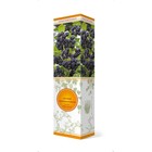 Арония черноплодная "Неро", 1 шт, туба, Весна 2023 9581844 - фото 8293352