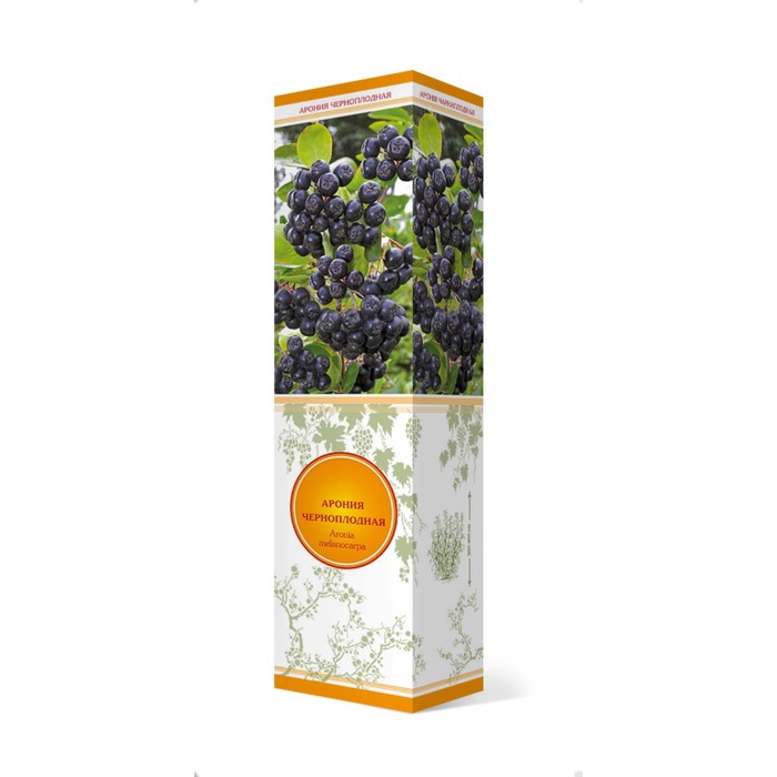 Арония черноплодная Неро 1 шт., туба Весна 2026