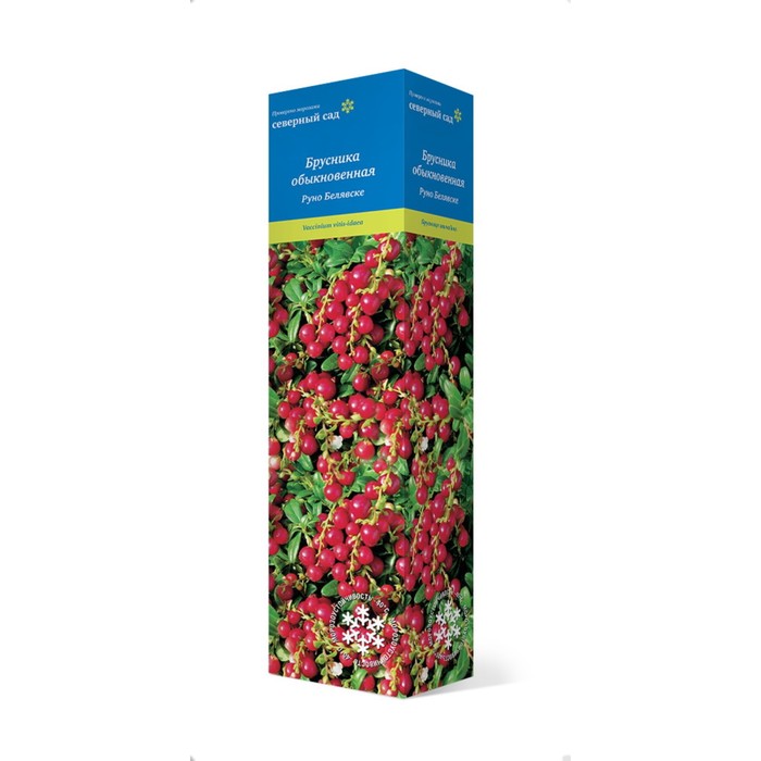Брусника (Серия Северный Сад) 
