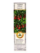 Годжи (Лициум, Дереза обыкновенная) «Корен Биг»,саженец, плодовый, 1 шт., туба - фото 41454688