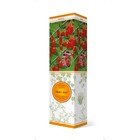 Годжи (Лициум, Дереза обыкновенная) Блюголд 1 шт., туба Весна 2026  (артикул 9581875)  большой выбор товаров оптом и в розницу по низким ценам с доставкой