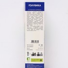 Голубика высокорослая «Река», саженец, 1 шт., туба 9581882 - фото 4336869