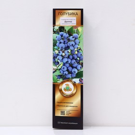 {{photo.Alt || photo.Description || 'Голубика высокорослая Люкс "Драпер", 1 шт, туба, Весна 2026'}}