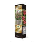 Голубика высокорослая Люкс Мультифлора, 1 шт. туба Весна 2026  (артикул 9581891)  большой выбор товаров оптом и в розницу по низким ценам с доставкой