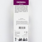 Ежевика Диксен Тонлес 1 шт., туба, Весна 2026 - Фото 2