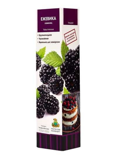 Ежевика Чачанска Бестрна 1 шт., туба, Весна 2026